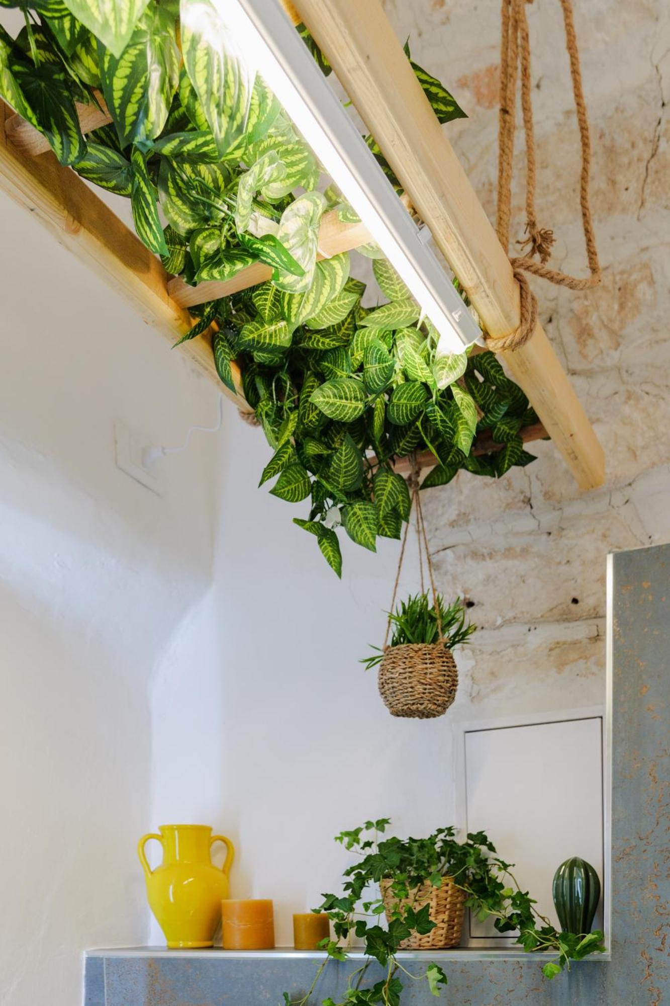 Dimora Lavinia Casa Vacanze Centro Storico Ostuni Exterior foto